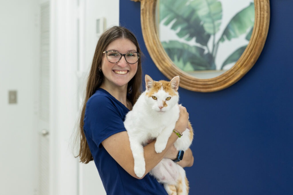 Gardens Animal Hospital staff holding up an cat