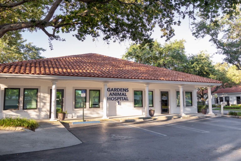 Exterior of Gardens Animal Hospital in Palm Beach Gardens, Florida