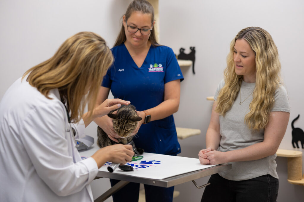 Dr Lisa Ciucci Veterinarian petting a cat