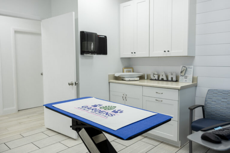 Gardens Animal Hospital treatment room in Palm Beach Gardens