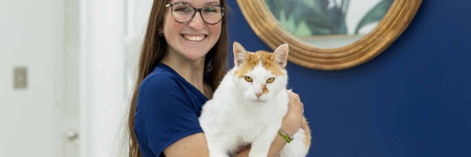 Gardens Animal Hospital staff holding up an cat