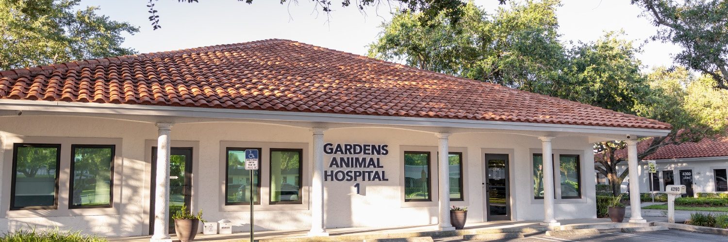 Exterior of Gardens Animal Hospital in Palm Beach Gardens, Florida