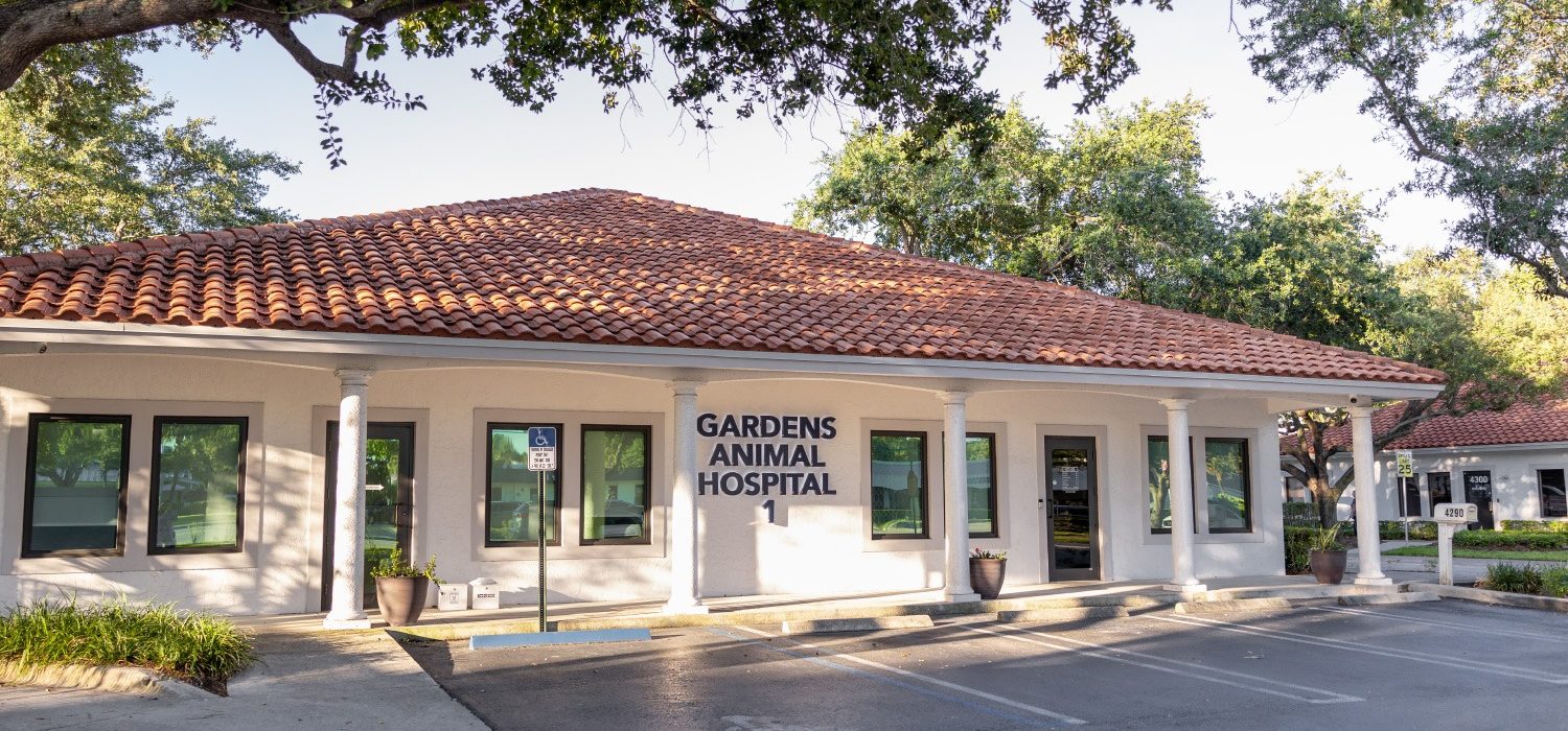 Exterior of Gardens Animal Hospital in Palm Beach Gardens, Florida