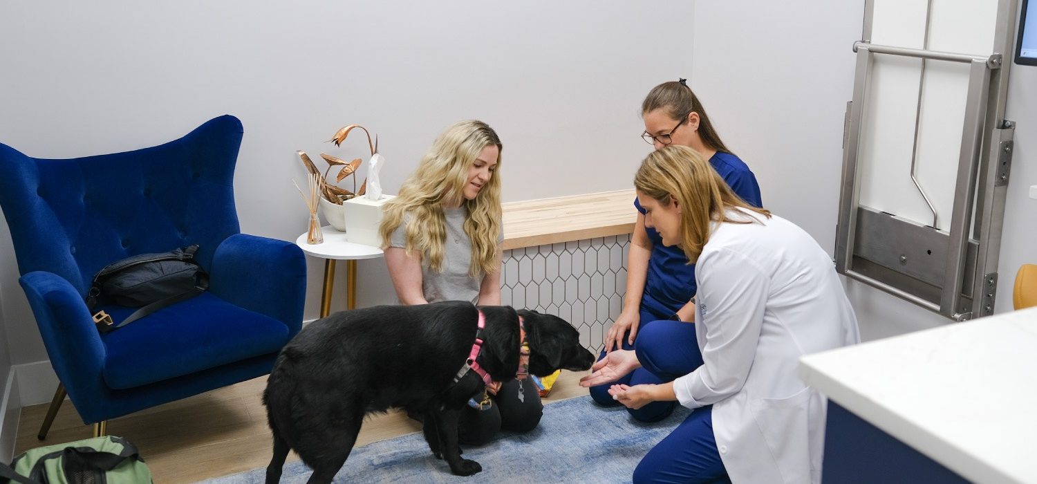 Gardens Animal Hospital Dr Lisa Ciucci with a black dog