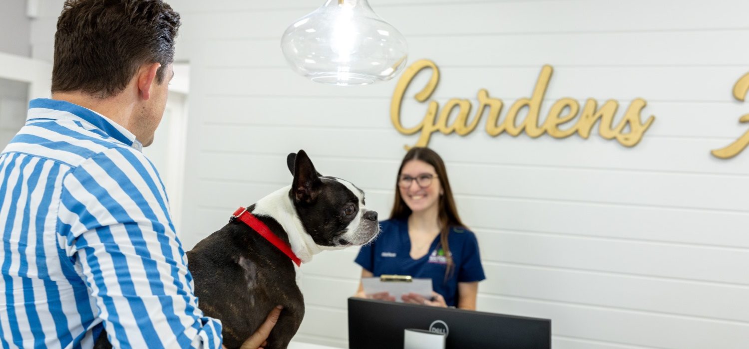 Palm Beach Gardens Animal Hospital Front Desk and Small Dog