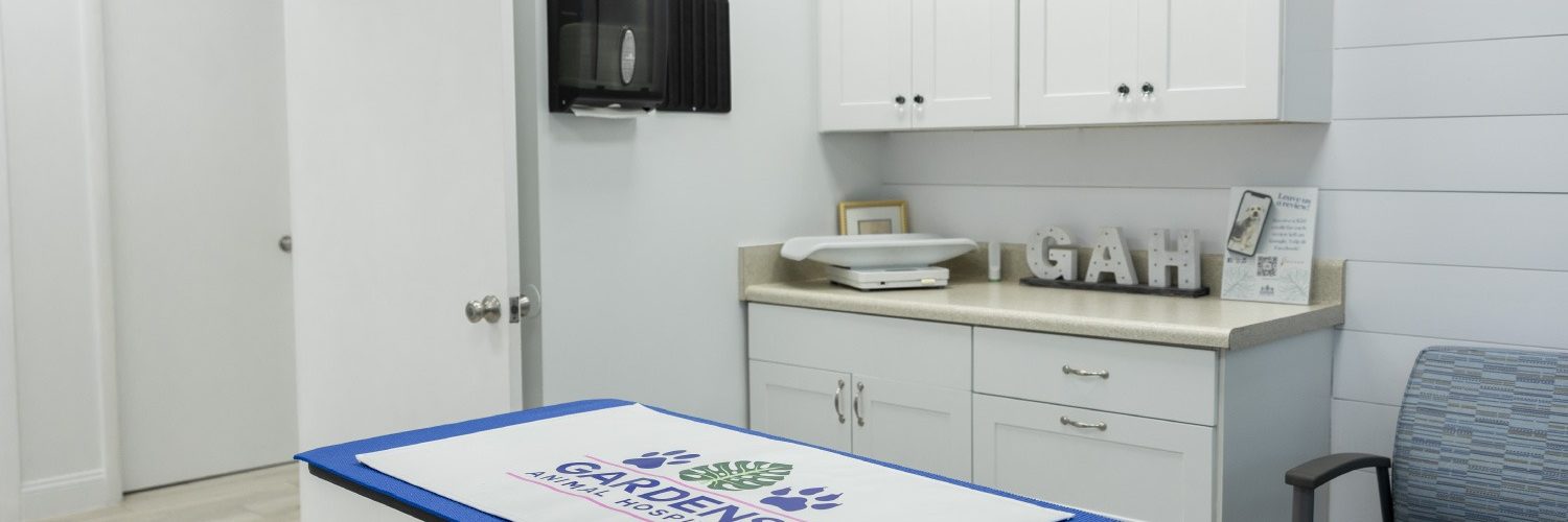 Gardens Animal Hospital treatment room in Palm Beach Gardens